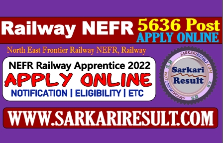 nefrapprentice22